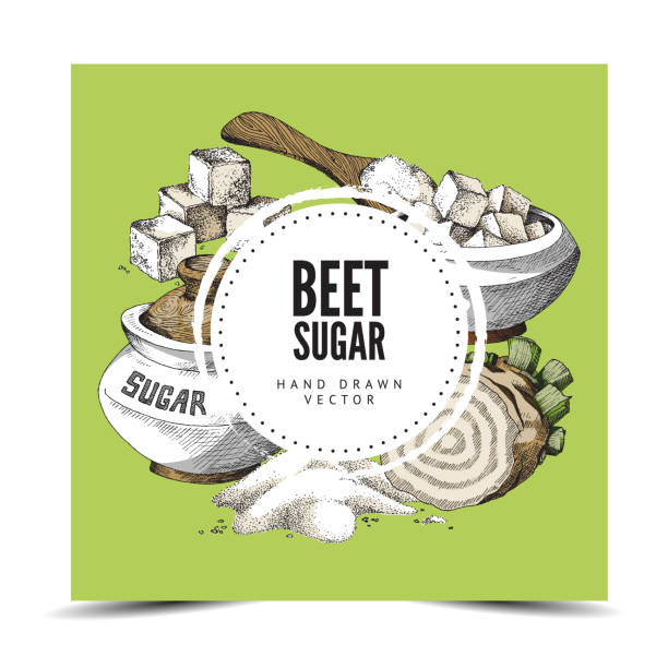 Hand drawn background with round label, place for brand and beet sugar. Vector illustration of sugar beet, sugar bowl and spoon Hand drawn background with round label, place for brand and beet sugar. Vector illustration of sugar beet, sugar bowl and spoon. Sketch background for food packaging. sugar bowl crockery stock illustrations