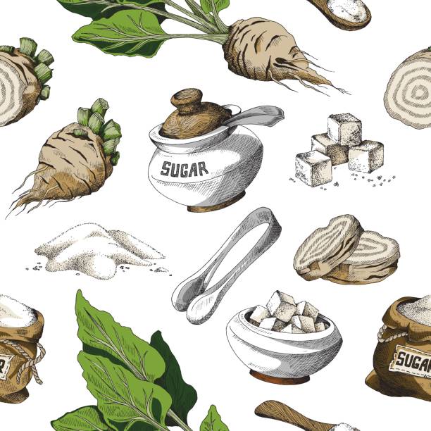 Seamless colored pattern of sugar beet and objects with sugar. Background vector illustration of hand drawn beet root, sugar bowl, sugar tongs and a wooden spoon. Seamless colored pattern of sugar beet and objects with sugar. Background vector illustration of hand drawn beet root, sugar bowl, sugar tongs and a wooden spoon. Background sketch elements isolated on white background. sugar bowl crockery stock illustrations