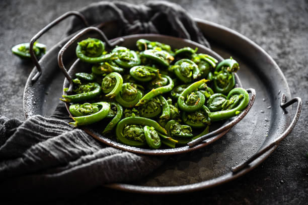 Diverse Keto Dishes Raw fiddleheads, Quebec, Canada fiddle head stock pictures, royalty-free photos & images