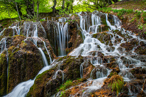 Summer landscape with waterfall and forest, Serbia