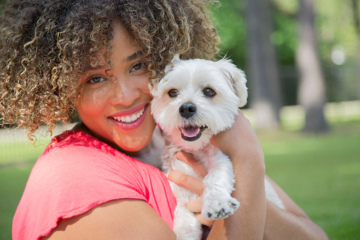 Young African American adult with her Yorkie Terrier pet dog.  They are outside in the yard, having fun playing.