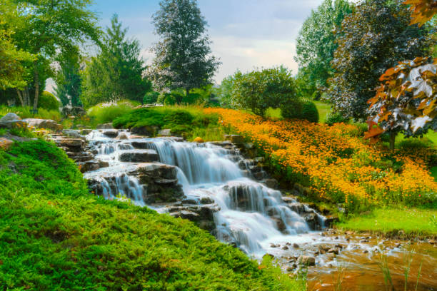 Waterfall and flowers-Hamilton County, Indiana