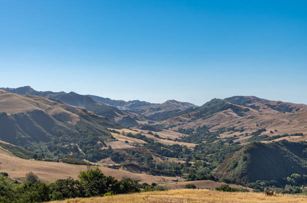 istock Morning light on Hinterland of Cambria, CA, USA. 1328753368
