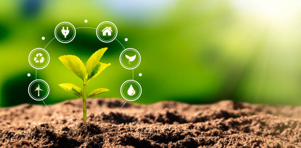 istock Growing plant, earth day, environmental concept 1328753516