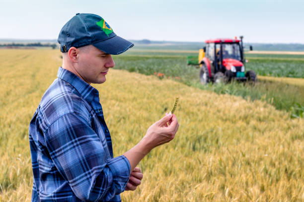 istock Farmer standing in the wheat field assessing the yield. 1328756025