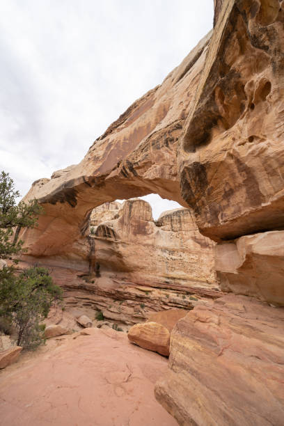 istock Hickman Bridge at Captiol Reef National Park on a cloudy spring day 1328756249
