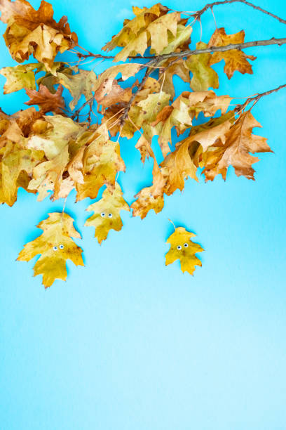 istock Funny Oak Leaves with Leaf Funny Faces 1328758619