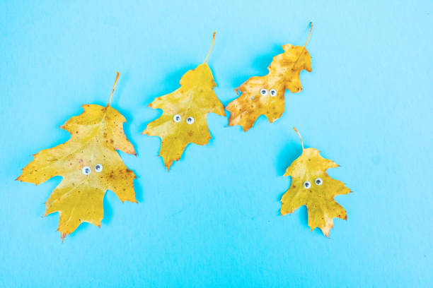 istock Funny Oak Leaves with Leaf Funny Faces 1328758637