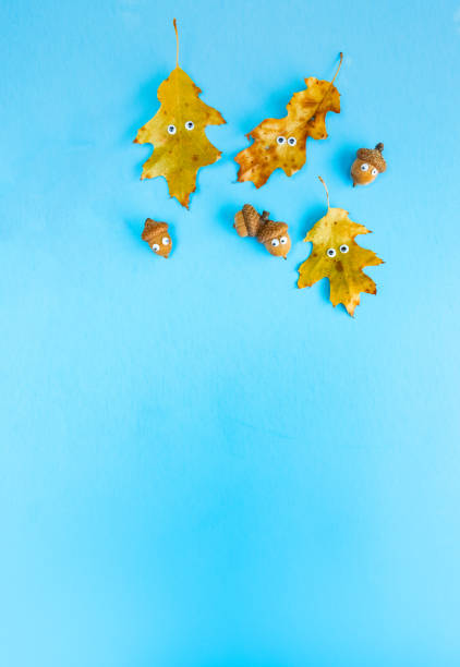 istock Funny Oak Leaf And Acorns with Leaf Funny Faces 1328759173