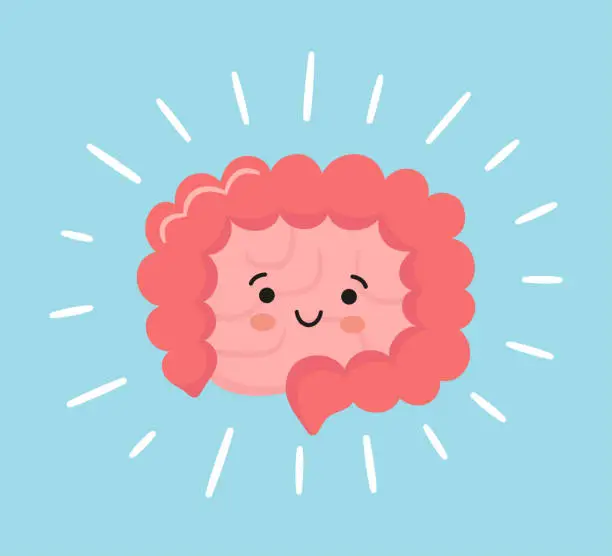 Happy kawaii character of small and large intestine. Human body internal organ of the gastrointestinal tract. Abstract bowels. Vector illustration isolated on white background Happy kawaii character of small and large intestine. Human body internal organ of the gastrointestinal tract. Abstract bowels. Vector illustration isolated on white background. bowels cartoon stock illustrations