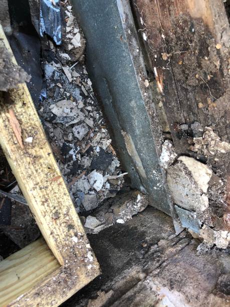 istock Wood rot next to window on home 1328765385