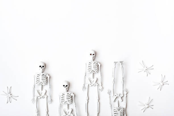 White skeletons and spiders on the white background. Minimalism style, monochrome flat lay. Concept of Halloween or Day of the dead.
