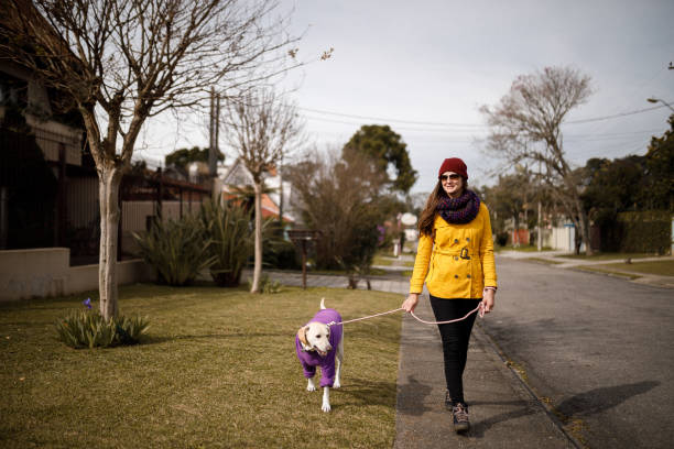 istock Pet owner walking with her dog 1328782705