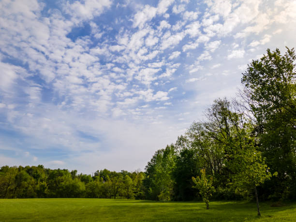 istock Meadow with trees along the side and a cloudy sky. 1328784622