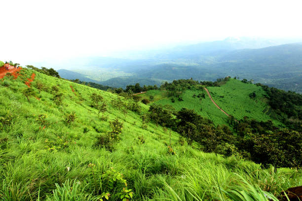 istock Palakkayam thattu, Kannur, Kerala/India. 1328787684