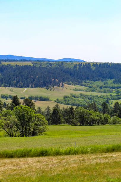 istock South Dakota black hills and valley view 1328788682