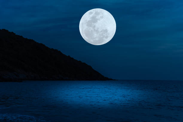 Full moon on sky over sea in the night. Full moon on sky over sea in the night. fantasy moonlight beach stock pictures, royalty-free photos & images