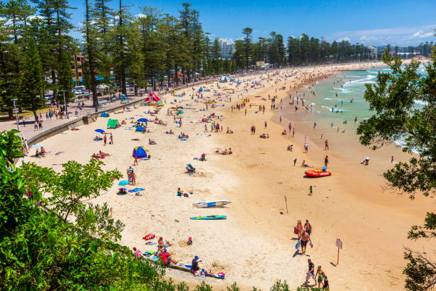 맨리 비치 - manly beach summer beach pacific ocean 뉴스 사진 이미지