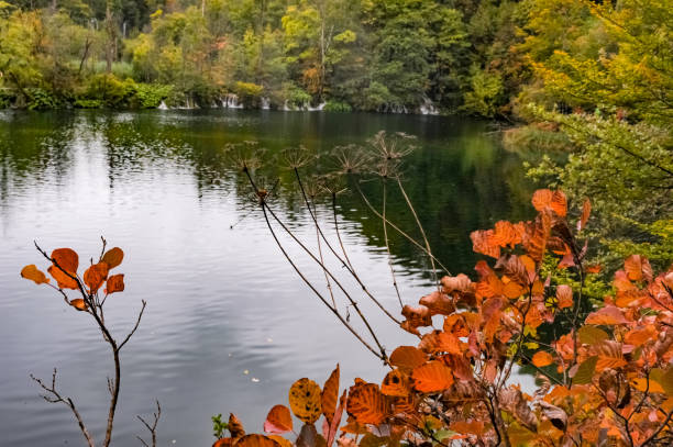 istock Plitvice Main Waterfalls in Plitvice Lakes National Park at fall, Plitvice Jezera, Croatia 1328792949