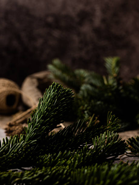 istock Spruce branch. Beautiful spruce branch with needles. 1328803302