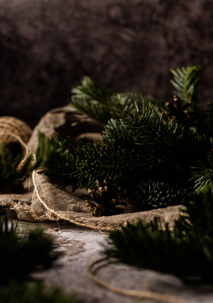 istock Spruce branch. Beautiful spruce branch with needles. 1328803304