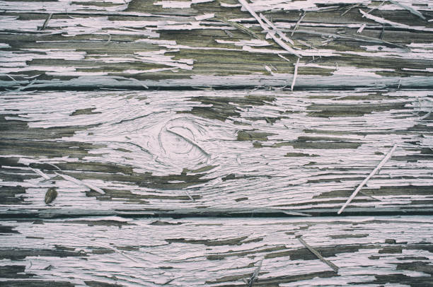 White paint peeling off over wooden surface. Closeup