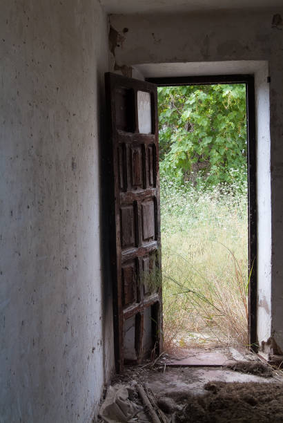 istock brown antique door 1328809929