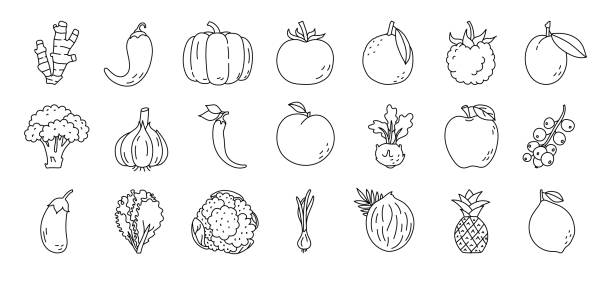 ilustrações, clipart, desenhos animados e ícones de esboço de frutas e vegetais. gengibre, pimenta, framboesa e ameixas. brócolis, alho, kohlrabi e berinjela. alface, couve-flor, cebolinha e abacaxi. ícone da linha preta. conjunto de ilustração vetorial - kohlrabi