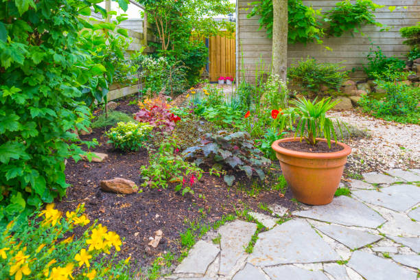 istock Flowers in a garden in bright sunlight in summer 1328810127