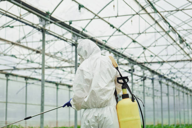 istock Young greenhouse female worker in full white protective uniform watering plants inside of hothouse 1328810820