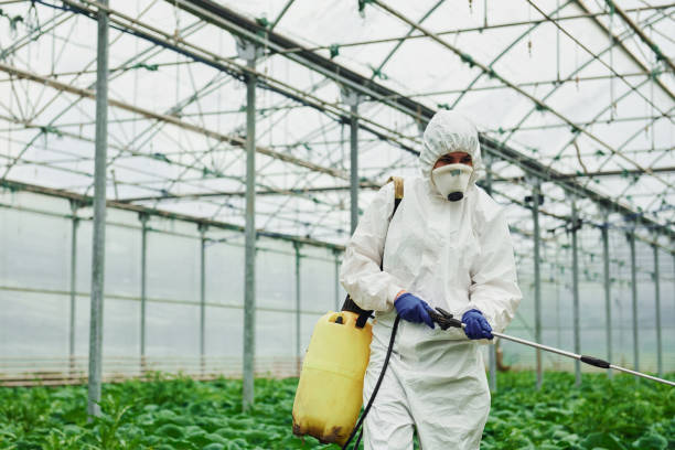 istock Young greenhouse female worker in full white protective uniform watering plants inside of hothouse 1328810856