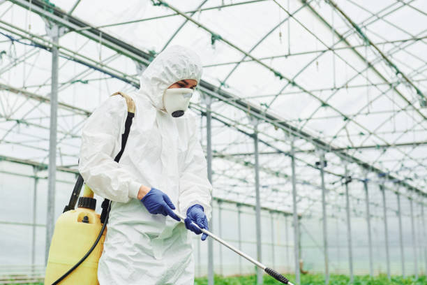 istock Young greenhouse female worker in full white protective uniform watering plants inside of hothouse 1328810898