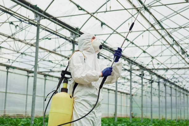 istock Young greenhouse female worker in full white protective uniform watering plants inside of hothouse 1328810904
