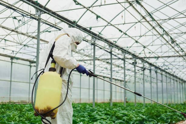 istock Young greenhouse female worker in full white protective uniform watering plants inside of hothouse 1328810978