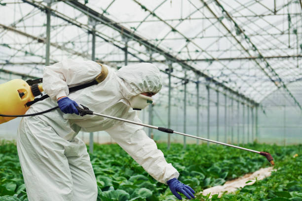 istock Young greenhouse female worker in full white protective uniform watering plants inside of hothouse 1328810981