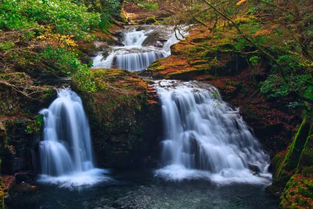 Ninai falls It is the Ninai Falls of Akame 48 Waterfalls in Mie Prefecture. akame shijyuhachi stock pictures, royalty-free photos & images