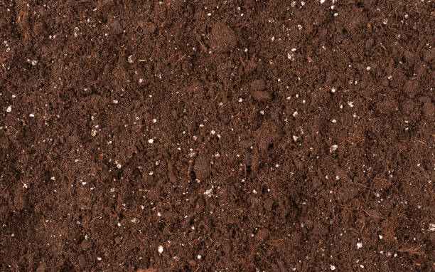 istock Soil texture detail for gardening Top view for design 1328811391