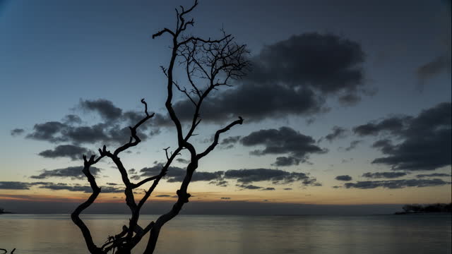 Day to Night Timelapse of a Sunset over the Ocean on Fraser Island in Australia