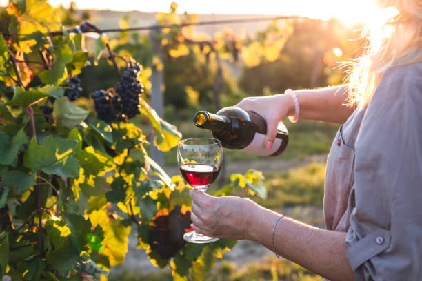 istock Pouring red wine in vineyard 1328817548