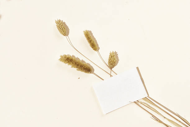 istock Champagne and grass styled stock scene 1328820560