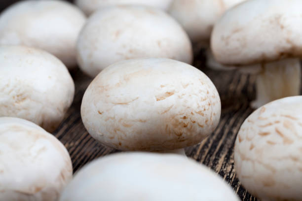 istock unwashed mushrooms champignon during cooking 1328822324