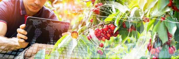 istock Smart Farming Digital Technology Agriculture App 1328823284