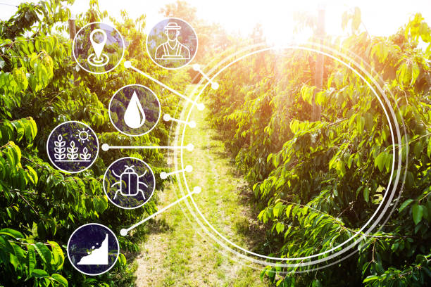 istock Smart Farming Digital Technology Agriculture 1328823390