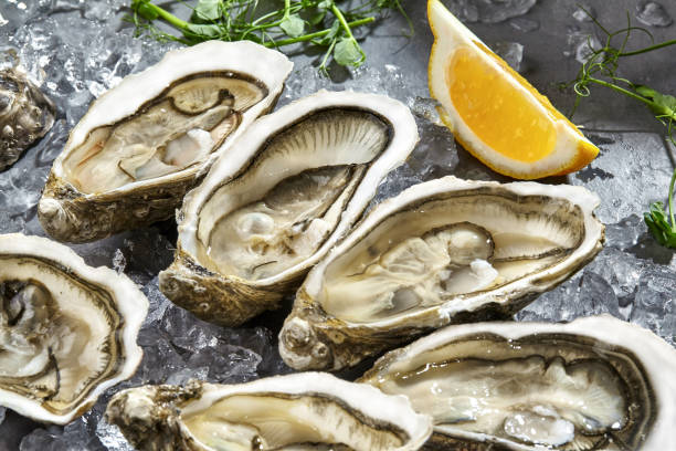 istock Raw Zeeland creuses in open shells on ice with lemon 1328824640