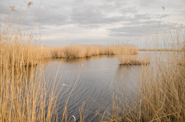 istock Liepaja lake in sunny spring day, Latvia 1328824749