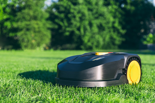 Robotic Lawn Mower cutting grass in the garden. Automatic robot lawnmower in modern garden on sunny day close-up.