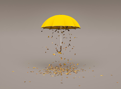 yellow umbrella with dry leaves falling from inside on grey background. concept of autumn, winter and back to school. 3d render