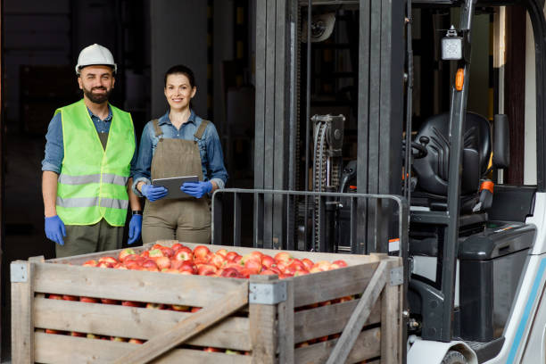 istock Harvesting on modern farm in summer and autumn, warehouse work and distribution 1328832013