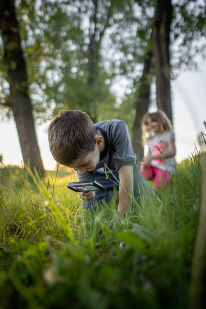 istock Young boy looking grass in nature through magnifying glass 1328834878