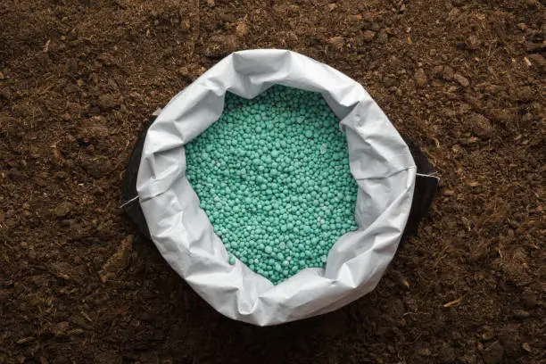 Photo of Opened plastic bag with green complex fertiliser granules on dark soil background. Closeup. Product for root feeding of vegetables, flowers and plants. Top down view.